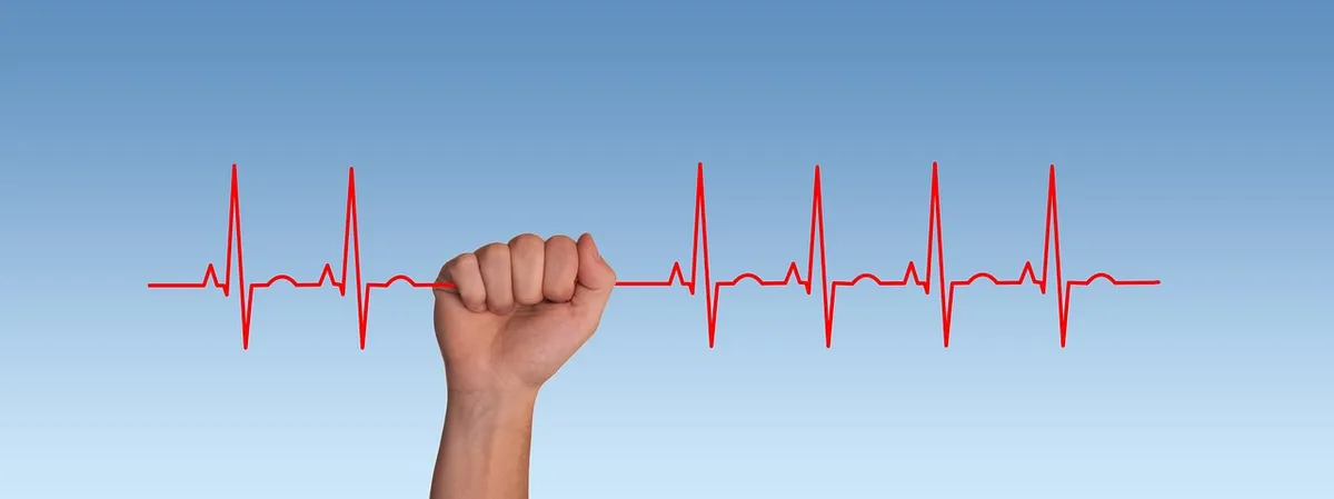 pulse, frequency, heartbeat, heart, curve, life, thread, silk thread, health, healthy, disease, medicine, ill, doctor, hospital, heal, health check, let go, cli